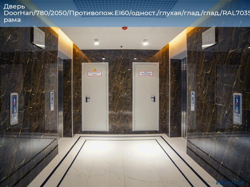 Дверь DoorHan/780/2050/Противопож.EI60/одност./глухая/глад./глад./RAL7035/лев./угл. рама, irkutsk.doorhan.ru